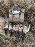 IMG_2094.jpeg