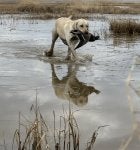 IMG_2072.jpeg