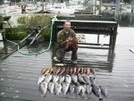 Water Vertebrate Plant Fish Seafood